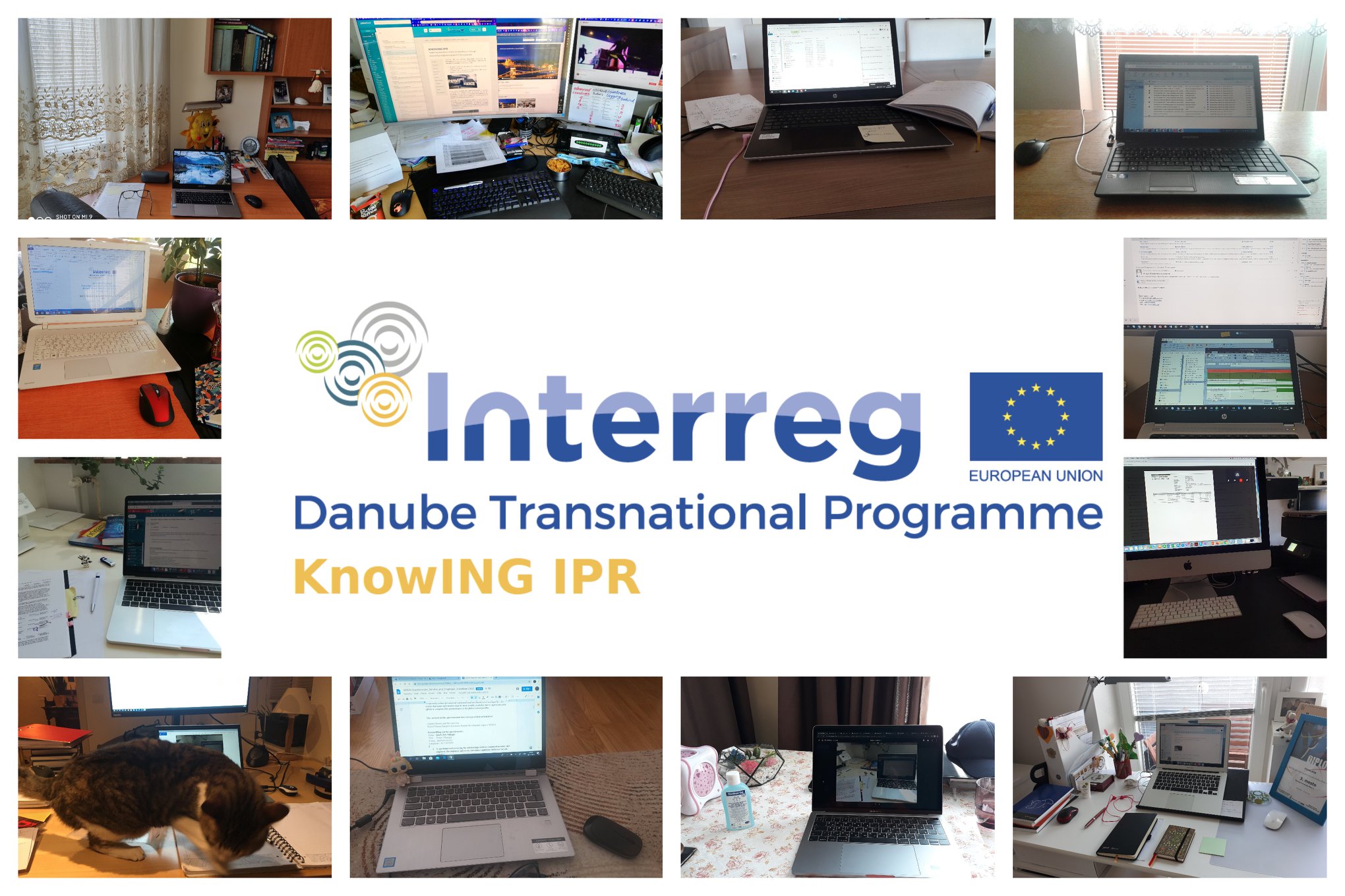 KnowING IPR Newsletter #6